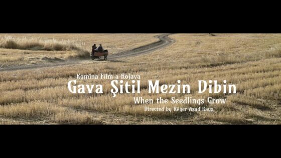 Gava Şitil Mezin Dibin