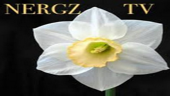 Nergz TV
